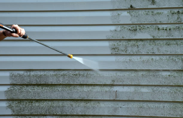 Local Pressure Washing Services in Mcconnelsville, OH
